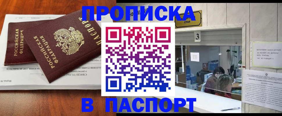 временная регистрация поиск в Лузе